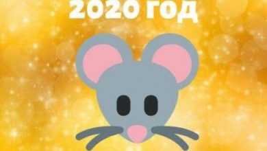 ТОП-10 тортиков с символом наступающего 2020 года крысы.