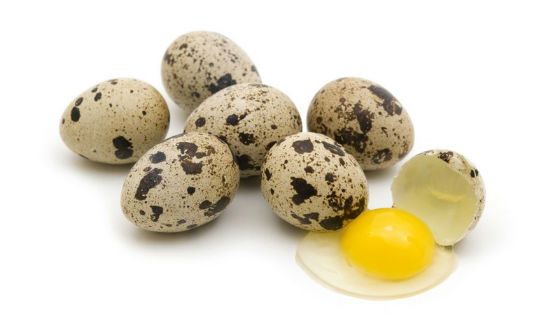 Полезные свойства сырых яиц перепелов