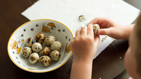 Яйца перепелов в питании детей