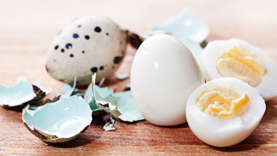 Вареные яйца перепелов и яичная скорлупа