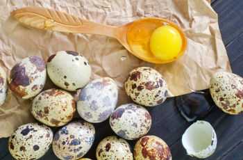 Польза и вред перепелиных яиц, значение в рационе женщины