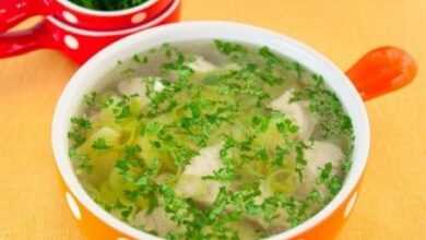 Суп с индейкой, картофелем, луком пореем и специями